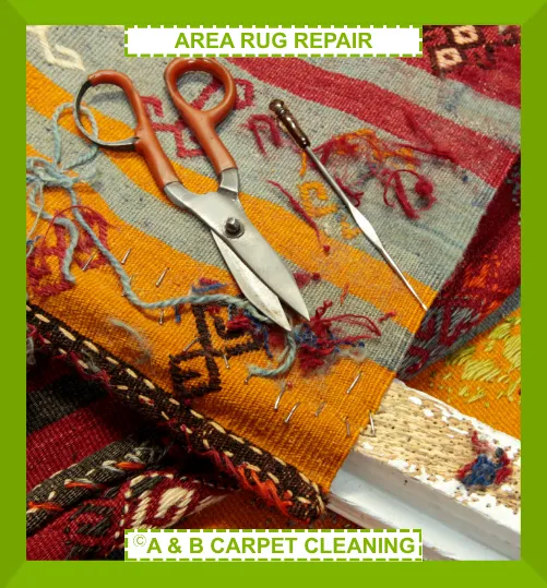 Professional rug cleaning process